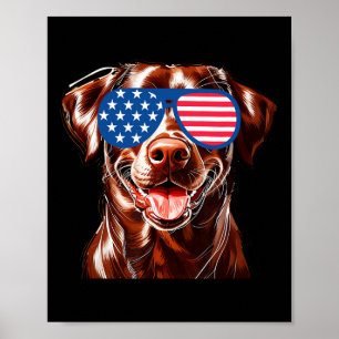Chocolade Lab Hond Amerikaanse Vlag Patriottische Poster