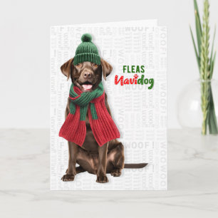 Chocolade Lab Hond Grappig Vlooien Navidog Kerstmi Feestdagen Kaart
