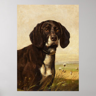 Chocolade lab hond, vintage poster