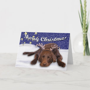 Chocolade Lab Hoorns Foto Aangepaste tekst binneni Feestdagen Kaart