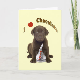 Chocolade Lab - Ik hou van Chocolade Kussen Kaart