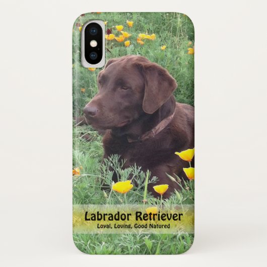 Chocolade Lab in California Poppy Patch Case-Mate iPhone Case (Achterkant)
