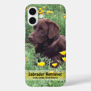 Chocolade Lab in California Poppy Patch iPhone 16 Plus Hoesje
