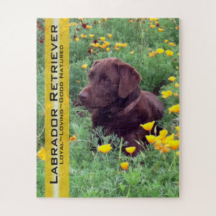 Chocolade Lab in California Poppy Patch Custom Legpuzzel