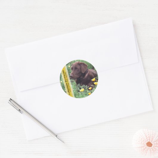 Chocolade Lab in California Poppy Patch Custom Ronde Sticker (Envelop)