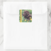 Chocolade Lab in California Poppy Patch Custom Vierkante Sticker (Tas)