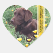 Chocolade Lab in California Poppy Patch Hart Sticker (Voorkant)