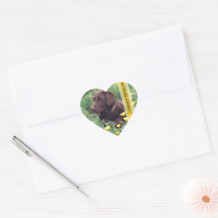 Chocolade Lab in California Poppy Patch Hart Sticker