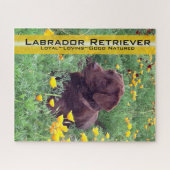 Chocolade Lab in California Poppy Patch Legpuzzel (Horizontaal)