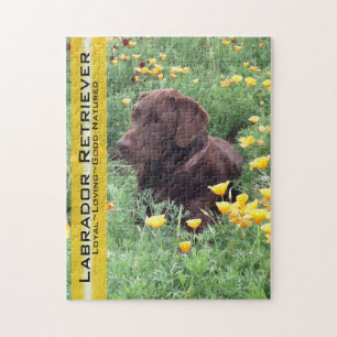Chocolade Lab in California Poppy Patch Legpuzzel