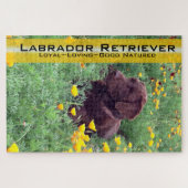 Chocolade Lab in California Poppy Patch Legpuzzel (Horizontaal)