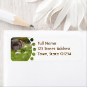 Chocolade Lab in Daisies Mailing Labels (Insitu)