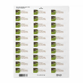 Chocolade Lab in Daisies Mailing Labels (Full Sheet)