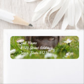 Chocolade Lab in Daisies Mailing Labels (Insitu)