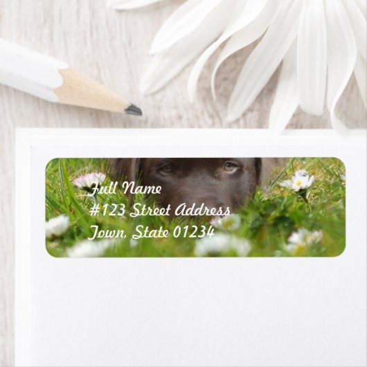Chocolade Lab in Daisies Mailing Labels (Insitu)