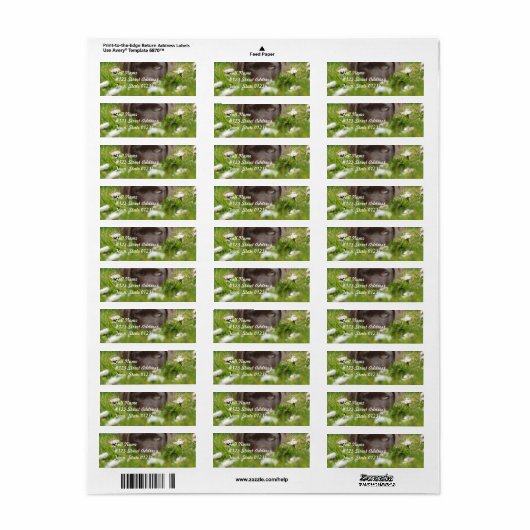 Chocolade Lab in Daisies Mailing Labels (Full Sheet)