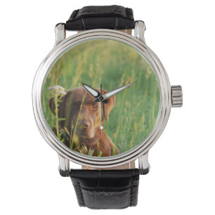 Chocolade Lab in Field Watch Horloge