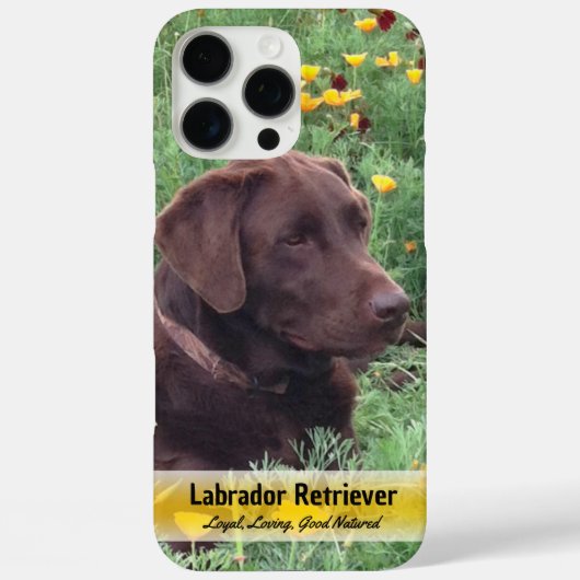 Chocolade Lab in Poppy Patch Placeholder Foto Case-Mate iPhone Case (Achterkant)