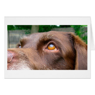Chocolade Lab-kaart