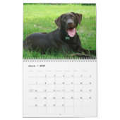Chocolade Lab kalender (Mar 2027)