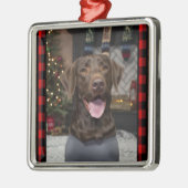 Chocolade Lab Kerstversiering Metalen Ornament (Links)