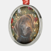 Chocolade Lab Kerstversiering Metalen Ornament (Links)
