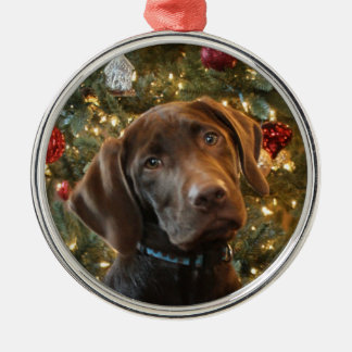 Chocolade Lab Kerstversiering Metalen Ornament