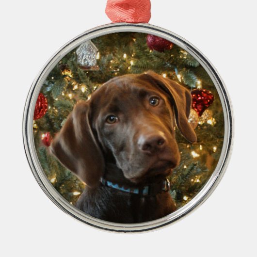 Chocolade Lab Kerstversiering Metalen Ornament (Voorkant)