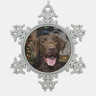 Chocolade Lab Kerstversiering Tin Sneeuwvlok Ornament