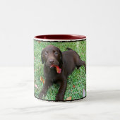 Chocolade Lab Koffie Mok (Center)