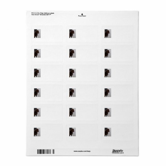 Chocolade Lab Label (Full Sheet)