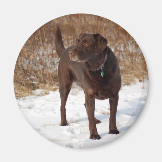 Chocolade Lab magneet (Voorkant)