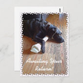 Chocolade Lab met beenfoto Briefkaart (Voorkant / Achterkant)