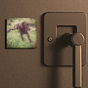 Chocolade Lab met grijze foto Magneet