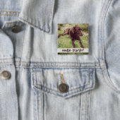 Chocolade Lab met grijze foto Vierkante Button 5,1 Cm (In situ)