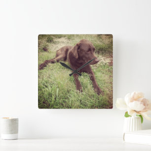 Chocolade Lab met grijze foto Vierkante Klok