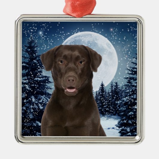 Chocolade Lab Metalen Ornament (Voorkant)