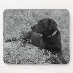 Chocolade Lab Mousepad Muismat