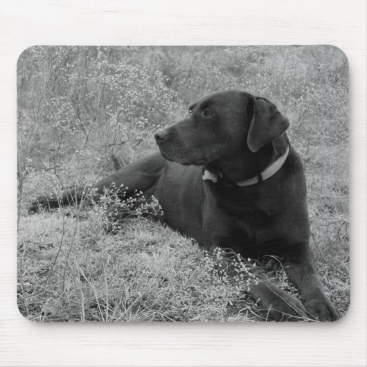 Chocolade Lab Mousepad Muismat (Voorkant)