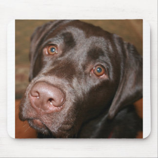 Chocolade Lab Muismat