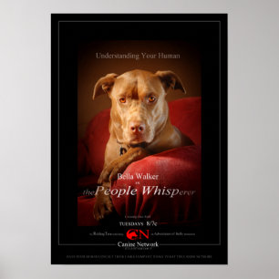 Chocolade Lab Pit Mix Dog Movie Poster