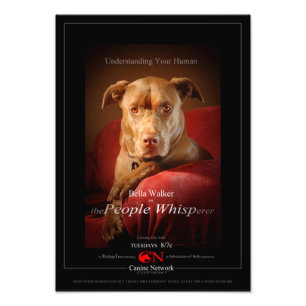 Chocolade Lab Pit Mix Dog Movie Poster