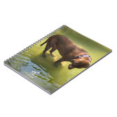 Chocolade Lab Pit Mix Dog Op zoek naar vis Notitieboek (Linkerzijde)