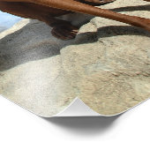 Chocolade Lab Pit Mix Dog Portret 6 Foto Afdruk (Hoek)