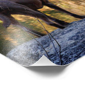 Chocolade Lab Pit Mix Dog Serene Foto Afdruk (Hoek)