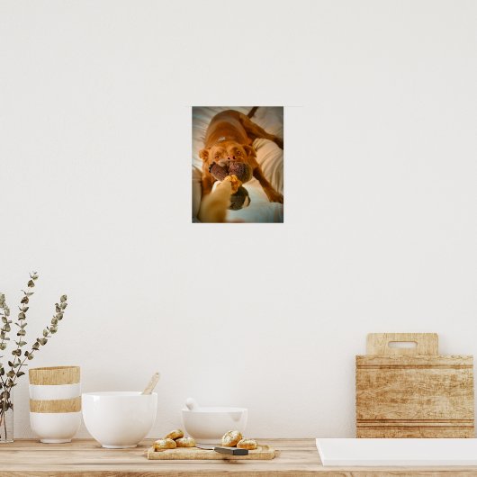 Chocolade Lab Pit Mix Dog Tugging Poster (Keuken)