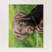 Chocolade Lab Puppy Dog Legpuzzel (Verticaal)
