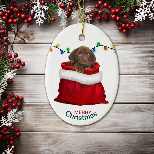 Chocolade Lab Puppy in feestcadeau Keramisch Ornament