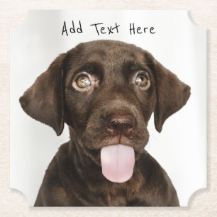 Chocolade Lab Puppy Kartonnen Onderzetters