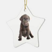 Chocolade Lab Puppy Keramisch Ornament (Links)